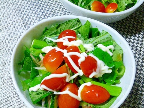 生で美味しい!空芯菜のサラダ